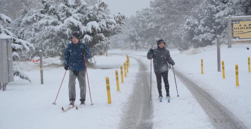 Peter McLean and Carol Ann Pala of Lewes take advantage of the snowfall to cross-country ski in Cape Henlopen State Park. RON MACARTHUR PHOTO