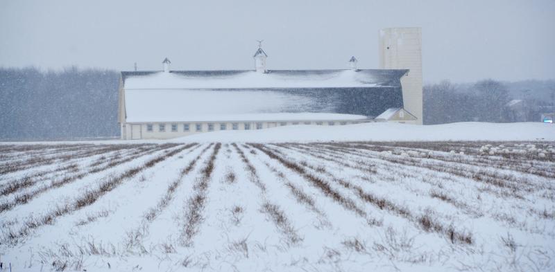 The Townsend Barn along Kings Highway in Lewes is a photogenic spot when it snows. RON MACARTHUR PHOTO