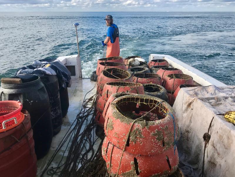 Conch potting involves constant motion on the deck of Muggy Lee Jr. Zandar Planches positions himself near the open stern to feed out the strings of pots after they’ve been emptied and Moore decides where to place his next set.