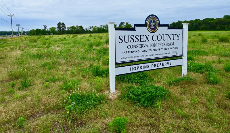 Sussex County purchased the 52-acre Hopkins Preserve from the Hopkins family at a 50% discount for $1.5 million. RON MACARTHUR PHOTO