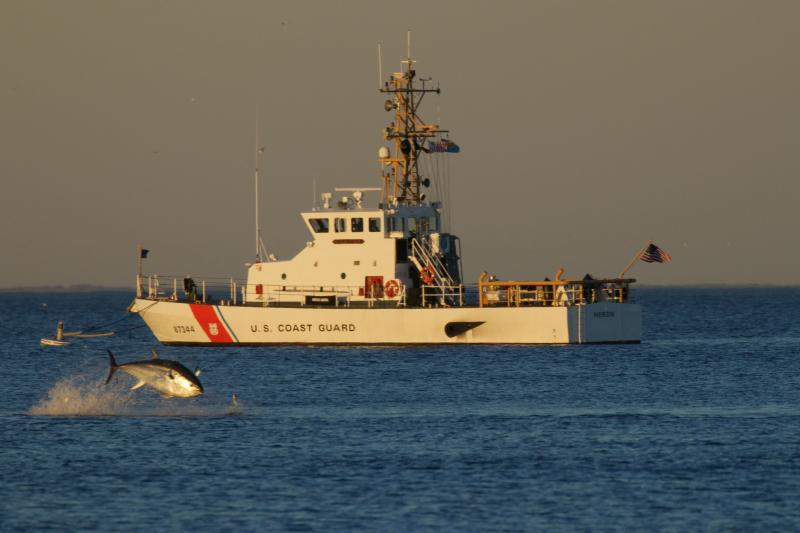 It looks like this fish is jumping out of the water to say hello to President Biden. RICHARD TRUMAN PHOTO