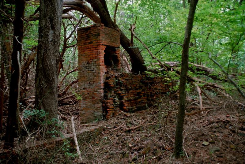 The remains of a brickmaking kiln were among the ruins of the former brickyard in this 2010 photograph. RON MACARTHUR PHOTO