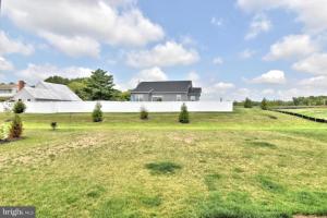 Large Backyard